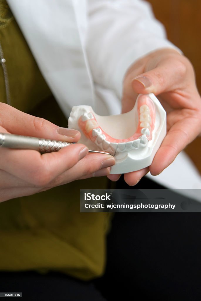 Close up of dental mold Dental hygienist holding dental mold, focus on mold. Adult Stock Photo