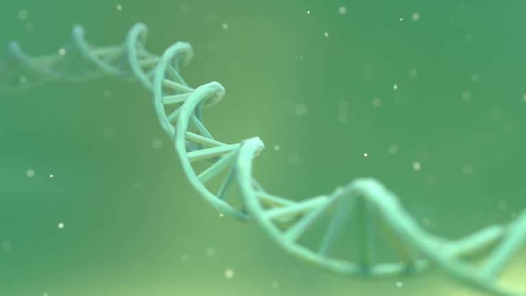 Animation of a slowly undulating DNA double helix structure in solution. Gene image animation.