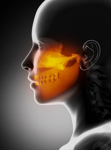 Maxillofacial concept x-ray jaws stock photo