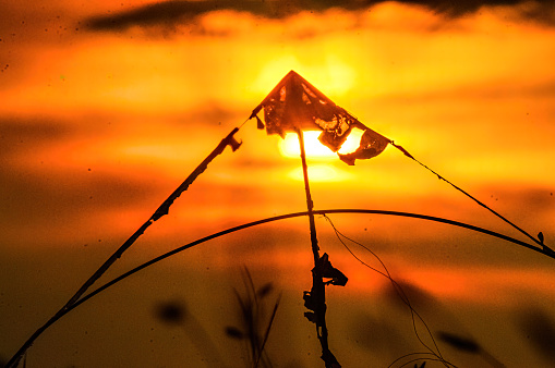 silhouette of a broken kite at dusk