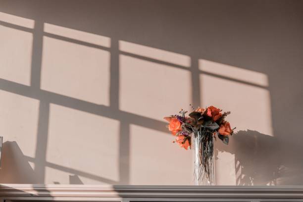 istock Vase of flowers in sunlight coming through window 1560152170
