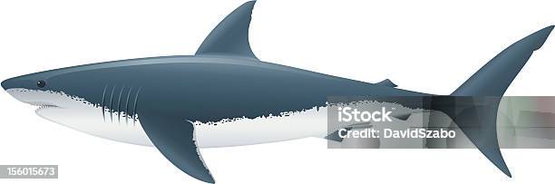 Tubarão Branco - Arte vetorial de stock e mais imagens de Tubarão branco - Tubarão branco, Vetor, Ilustração