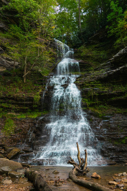 istock Cathedral Falls in Gauley Bridge, West Virginia 1560158178