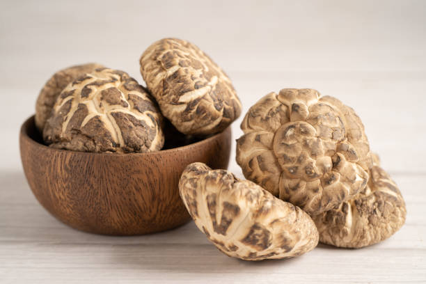 istock Dried shiitake mushroom isolated on white background. 1560183257