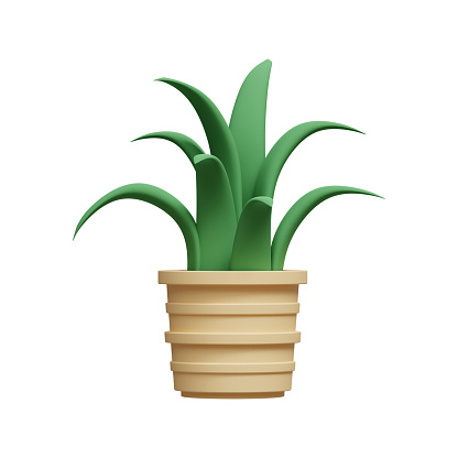 3d realistic plant in a flowerpot isolated on white background. 3D illustration