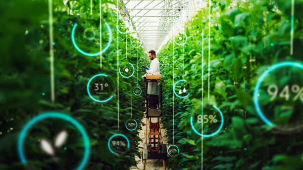 Professional Male Bioengineer Examining Crops on Modern Vertical Farm. Man With Tablet Computer Grows Organic Food or Plants In High-Tech Greenhouse. VFX Infographics Edit Showing Data.