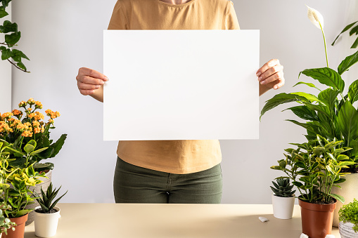 Midsection of woman holding blank billboard standing among house plants in room. Unrecognizable faceless female gardener holding white card. Home garden, gardening blog