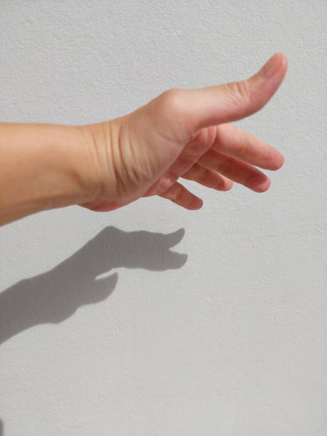 istock An old woman fat left hand. 1560207042