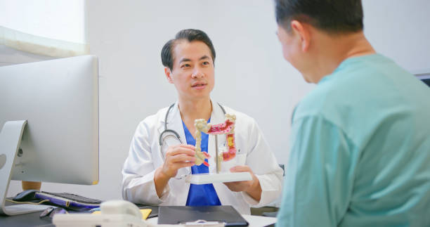 doctor show large intestine model colorectal cancer concept - asian senior male doctor is showing large intestine model and explaining to elder man patient in hospital colon stock pictures, royalty-free photos & images