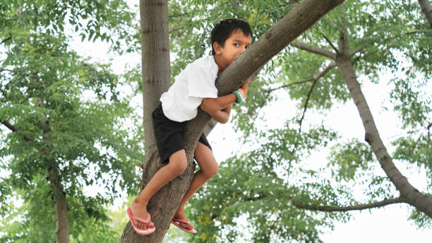 istock Indian little boy hanging on tree 1560229456