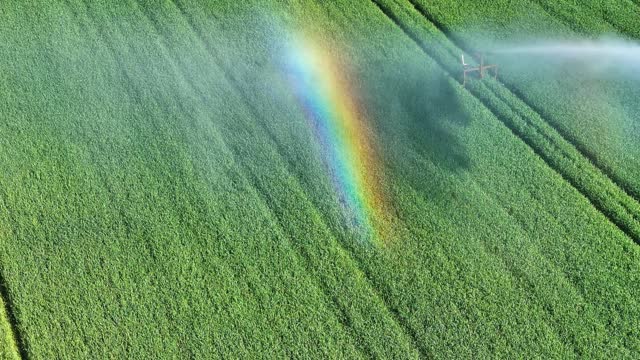 Irrigation of a field with a rainbow colored reflection