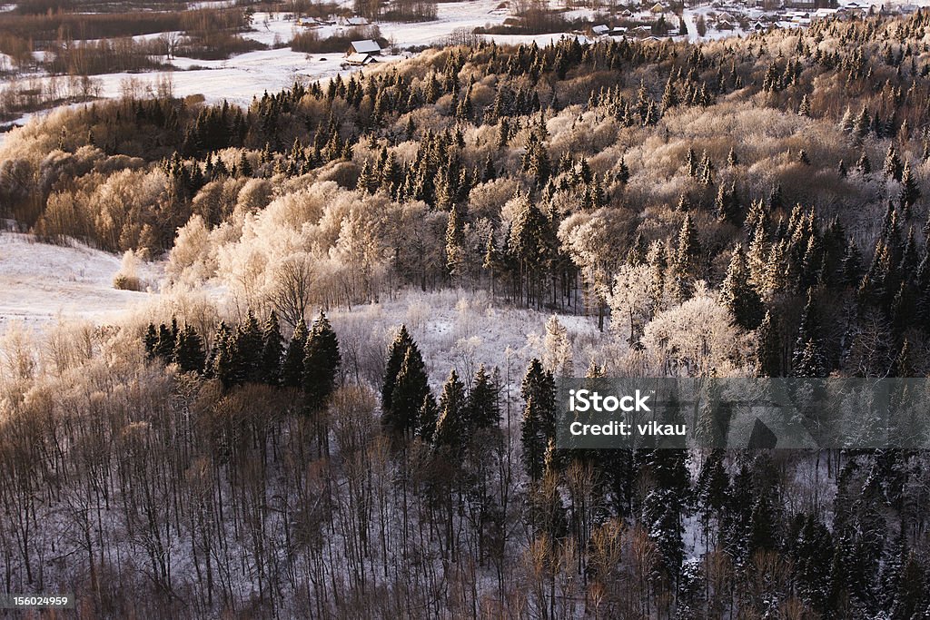 Winter - Lizenzfrei Eingefroren Stock-Foto