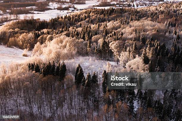 Winter Stockfoto und mehr Bilder von Eingefroren - Eingefroren, Fotografie, Frost