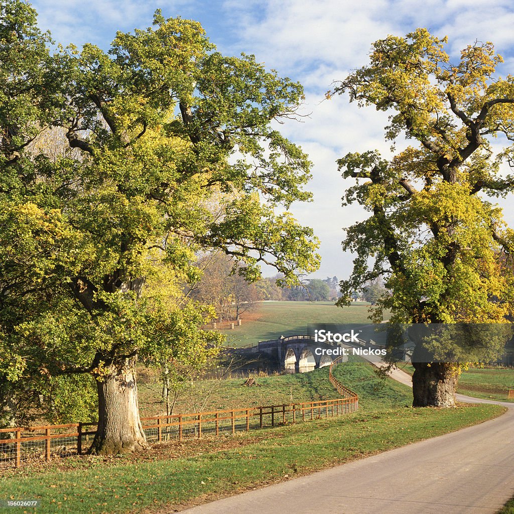 Road and bridge in English parkland Road over stone bridge in parkland setting with oak trees showing autumn (Fall) colors. Oxfordshire. England England Stock Photo