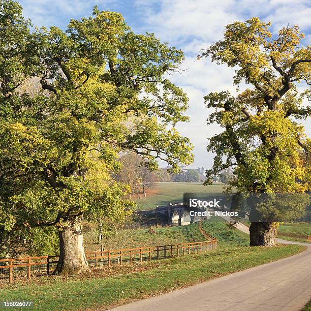 Road And Bridge In English Parkland Stock Photo - Download Image Now - England, Woodstock - England, Road