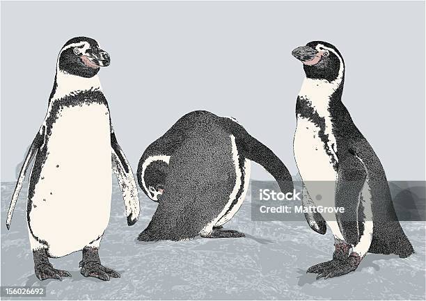 Более Пингвинов Гумбольдта — стоковая векторная графика и другие изображения на тему Без людей - Без людей, Векторная графика, Иллюстрация