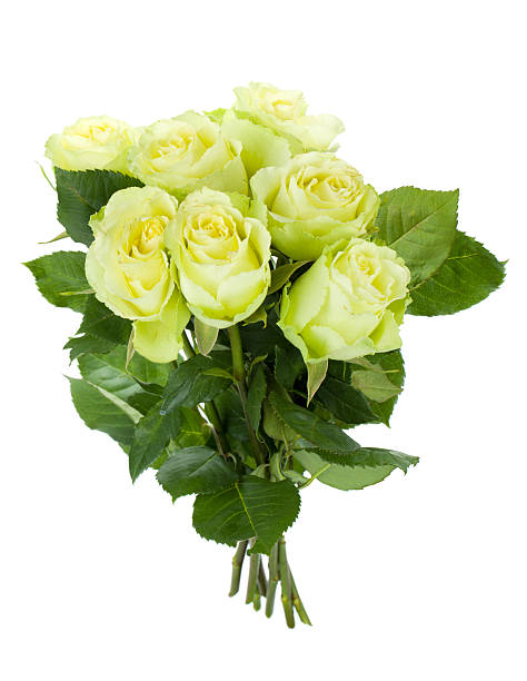 istock Green roses bouquet 156027023