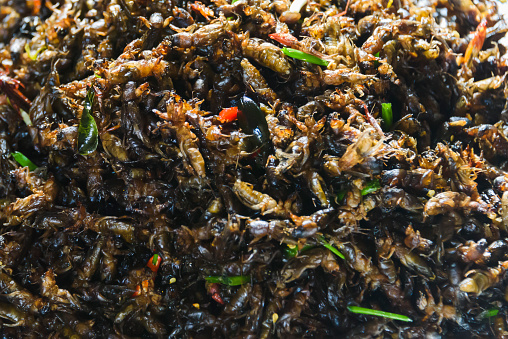 Fried crickets for sale, Siem Reap, Cambodia