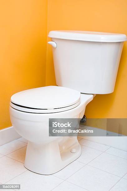 Low Flow Toilet Stock Photo - Download Image Now - Efficiency, Toilet, Bathroom