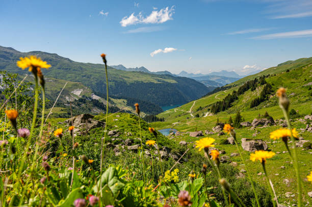 istock Flower and Fairy Lake 1560297507