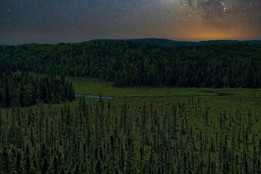 Canada's Boreal Forest at Night