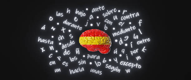 istock Spanish Learning Foreign language fluency improvement Human brain Spain flag colors Letters articles 3d rendering banner 1560316543