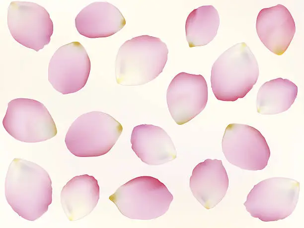 Vector illustration of Pink petals wallpaper