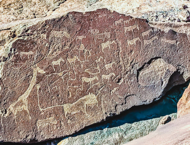 esculturas rupestres de 6000 años de animales en twyfelfontein, namibia - edad de bronce fotografías e imágenes de stock