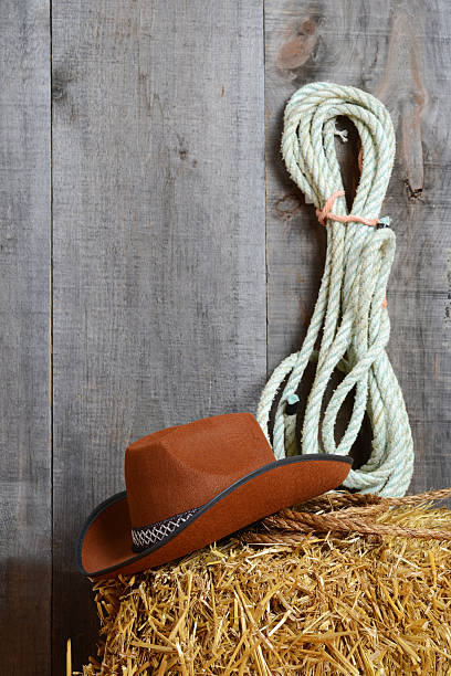 istock Cowboy hat on straw with ropes 156034543