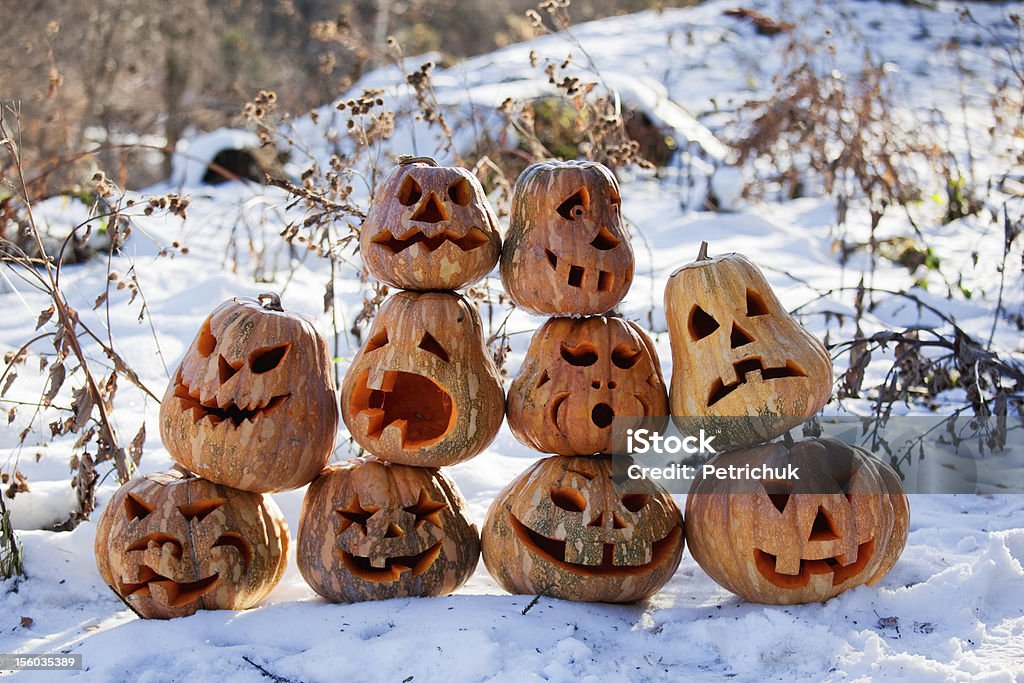 Group of Halloween pumpkin Group of Halloween pumpkin on the snow Pumpkin Stock Photo