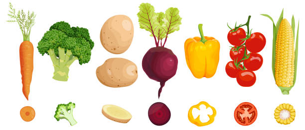 7つの健康的な野菜のセット、側面図と断面図。ニンジンとブロッコリー、ジャガイモとビート、ピーマンとトマト。スイートコーン。 - ingredient broccoli cherry tomato carrot点のイラスト素材／クリップアート素材／マンガ素材／アイコン素材