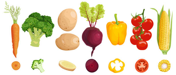 ilustrações, clipart, desenhos animados e ícones de conjunto de sete vegetais saudáveis, vista lateral e seção transversal. cenoura e brócolis, batata e beterraba, pimentão e tomate. milho. - green bell pepper illustrations