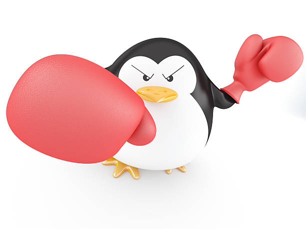 Boxer Fat boxer penguin with gloves- 3D render penguins fighting stock pictures, royalty-free photos & images