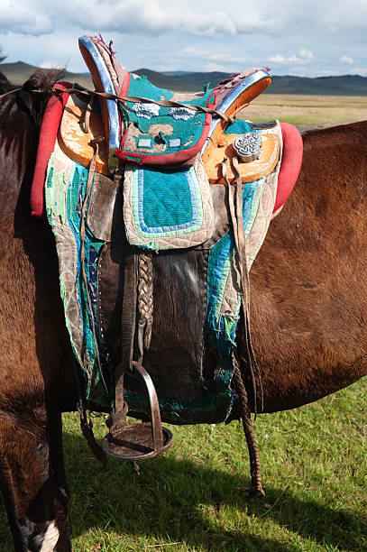 tradycyjne-mongolskie-konie-siod%C5%82o.jpg