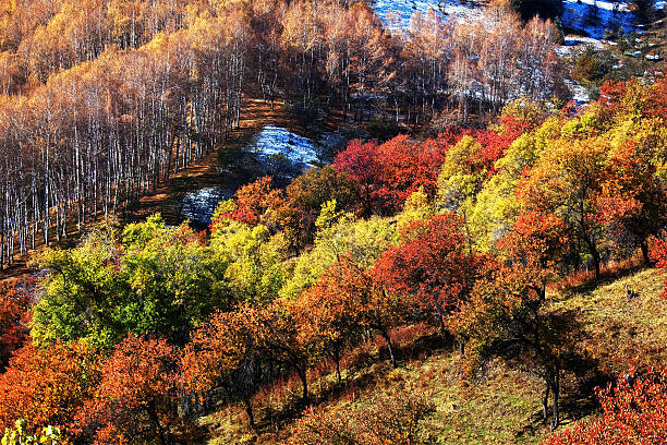 istock Mountain autumn landscape 156035760