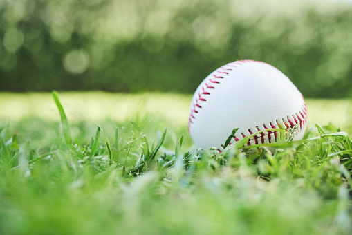 Baseball, sports and fitness with a ball on the grass, closeup waiting for a game or competition. Earth, recreation and training with a softball on a lawn, pitch or grass for sport activity outdoor