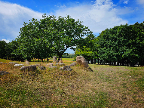 burial ground from the Viking Age or the Middle Ages with tombstones strewn over the field