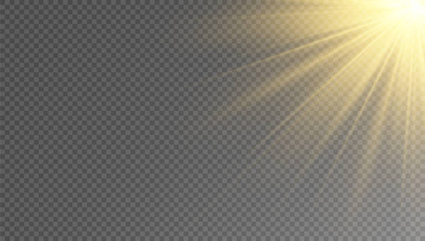 istock Golden particles of light. Golden light. Light flare.Stars isolated on transparent background. 1560384788