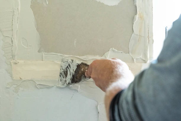istock Home renovation wall repair plastering walls 1560386557