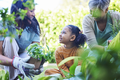 A woman, mother and child gardening together outdoor for growth or sustainability during spring. Plants, kids and earth day with a family bonding in a summer garden for eco friendly landscaping