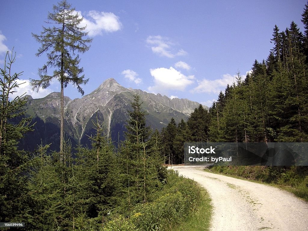 Fantastyczne Rower górski Droga w górach - Zbiór zdjęć royalty-free (Alpy)
