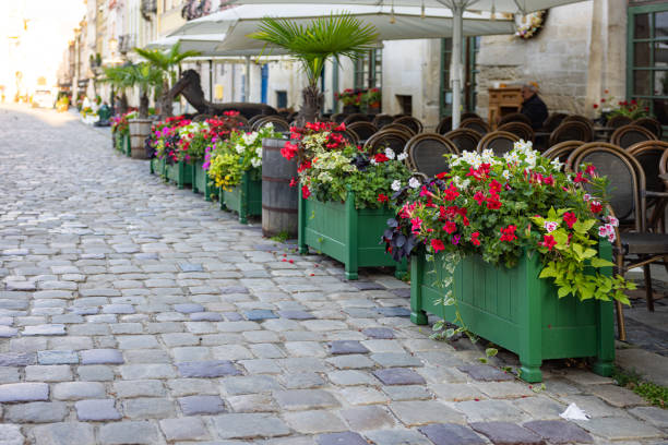 Lviv, Ukraine - July 13, 2023: Flowerdeds in Lviv city center