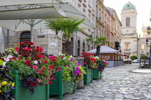 Lviv, Ukraine - July 13, 2023: Flowerdeds in Lviv city center