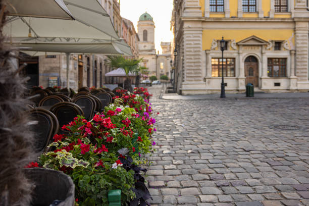 istock Flowerdeds in Lviv city center 1560444882