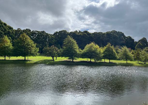 istock Cloudy days and fly fishing 1560458683