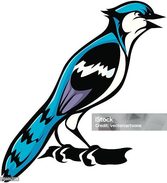 Vetores de Pássaro Azul Jay Ilustração e mais imagens de Gaio - Gaio, Animal, Fofo - Descrição Geral