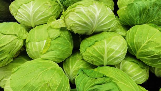 istock Bunch of green cabbage in supermarket 1560544982