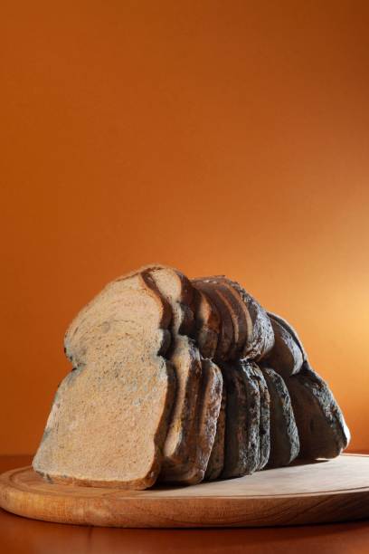 Closeup shot of loaves of moldy bread.