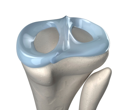Knee meniscus anatomy in 3D