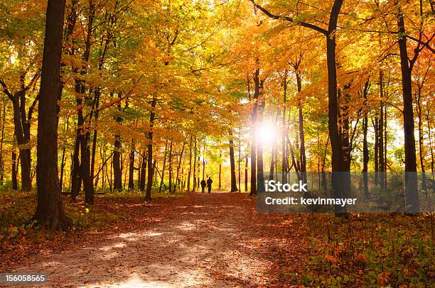 Autumn Forest With People Walking Stock Photo - Download Image Now - Autumn, Couple - Relationship, Footpath